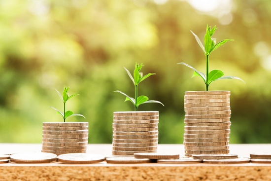 Earn cash filling in surveys